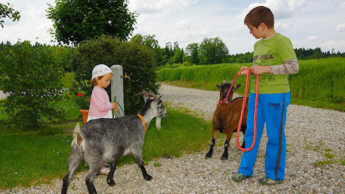 Ferienhof Kirschner
